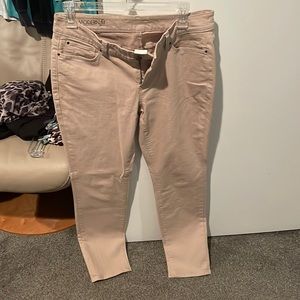 Ann Taylor Modern Fit NWT